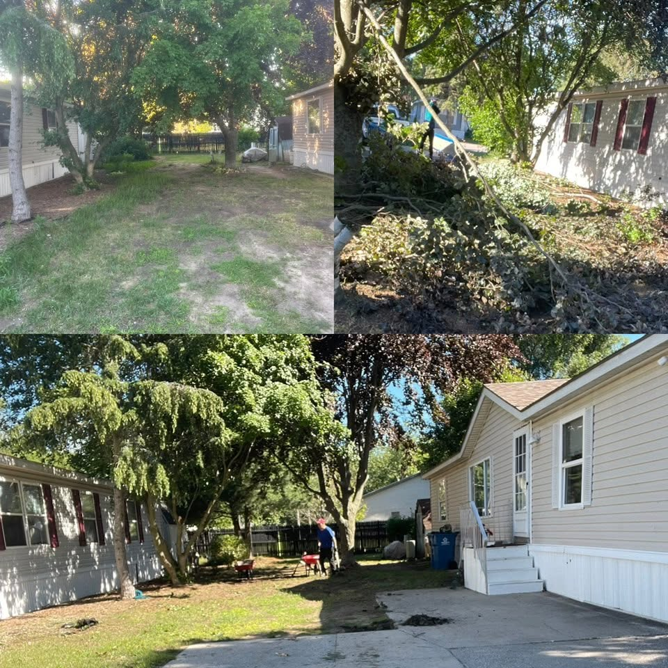 Leaf Removal
